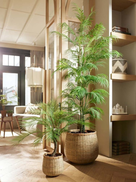 Искусственное растение Palm Chamaedorea / Пальма Хамедорея H180cm NKoop EEG