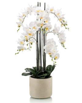 Artificial Plant Orchid Phalaenopsis white H100cm