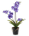 Artificial Plant Orchid Vanda Violet H60cm NKoop EEG