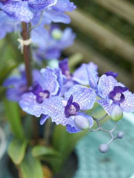 Artificial Plant Orchid Vanda Violet H60cm NKoop EEG
