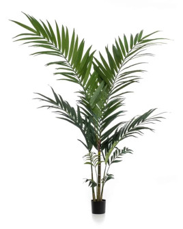 Искусственное растение Palm Kentia / Пальма Кентия H150cm