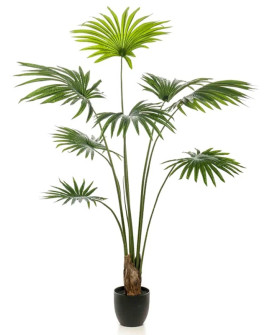 Искусственное растение Palm Livistona / Пальма Ливистона H160cm