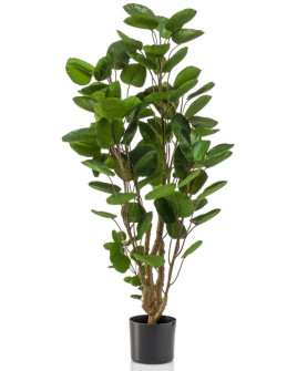 Искусственное растение Polyscias Tree / Полисциас H105cm