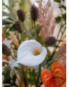 Artificial Plant Calla Lily White H70cm NKoop EEG
