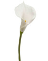 Artificial Plant Calla Lily White H70cm NKoop EEG
