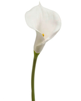 Artificial Plant Calla Lily White H70cm