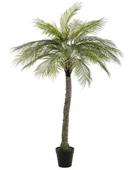 Искусственное растение Phoenix Palm De Luxe / Пальма Финиковая H220cm