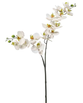 Artificial Plant Orchid Phalaenopsis White H100cm