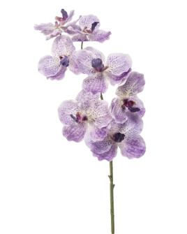 Artificial Plant Orchid Vanda Violet H77cm
