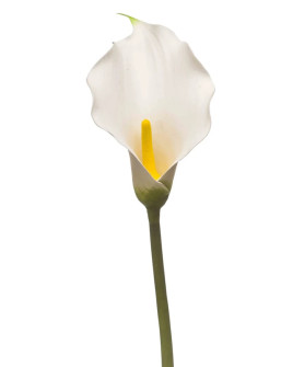 Artificial Plant Calla Lily White H83cm