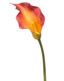 Artificial Plant Calla Lily Red-Yellow H83cm