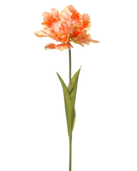 Artificial Plant Tulip parrot open Orange H68cm