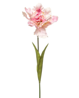 Artificial Plant Tulip parrot open Pink H68cm