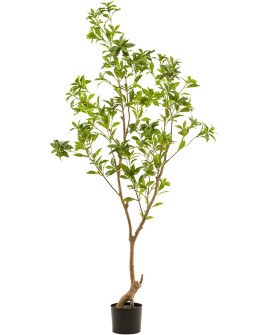 Искусственное растение Tea Leaf Tree / Кордилина H185cm