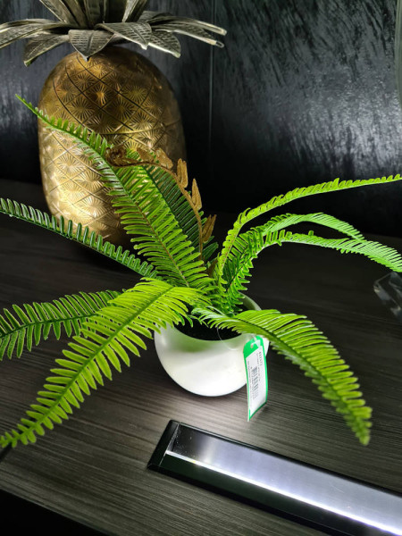 Искусственный папоротник Бостон H20cm NKoop EEG