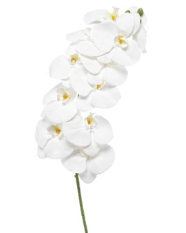 Artificial Plant Orchid Phalaenopsis White H100cm