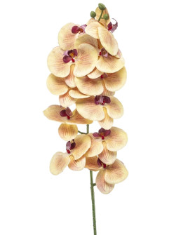 Artificial Plant Orchid Phalaenopsis Yellow H100cm