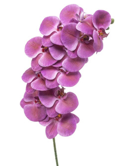 Artificial Plant Orchid Phalaenopsis Beauty H100cm