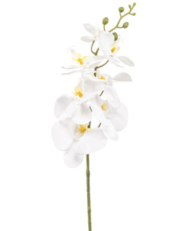 Artificial Plant Orchid Phalaenopsis White H84cm