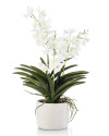 Artificial Plant Orchid Vanda White H60cm NKoop EEG