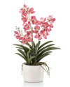 Artificial Plant Orchid Vanda Pink H60cm NKoop EEG