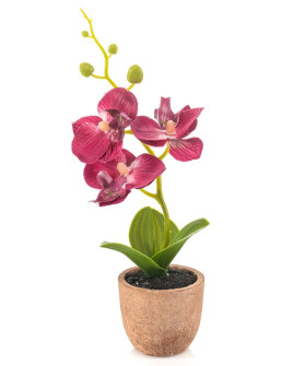Artificial Plant Orchid Phalaenopsis mini Fuchsia H20cm