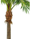 Искусственное растение Giant Phoenix Palm / Пальма Финиковая H480cm NKoop FW