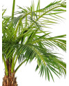 Искусственное растение Giant Phoenix Palm / Пальма Финиковая H480cm NKoop FW
