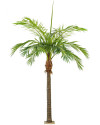 Искусственное растение Giant Phoenix Palm / Пальма Финиковая H480cm NKoop FW