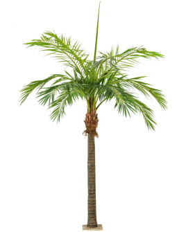 Искусственное растение Giant Phoenix Palm / Пальма Финиковая H480cm