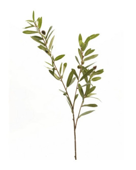 Штучна рослина Olive branch / Олива гілка H80cm