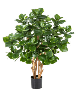 Искусственное растение Clusia Bush Tree / Клузия Дерево H85cm