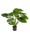 Artificial plant Alocasia Calidora H75cm NKoop FW