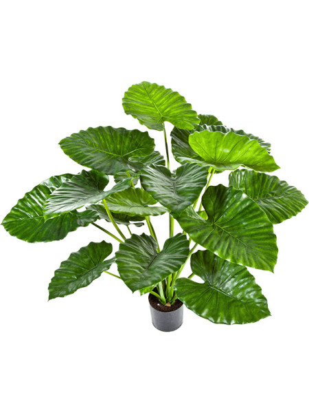 Искусственное растение Alocasia Calidora / Алоказия Калидора H95cm NKoop FW