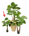 Artificial plant Alocasia Calidora H80cm NKoop FW