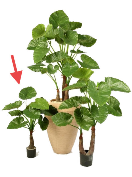 Artificial plant Alocasia Calidora H80cm NKoop FW