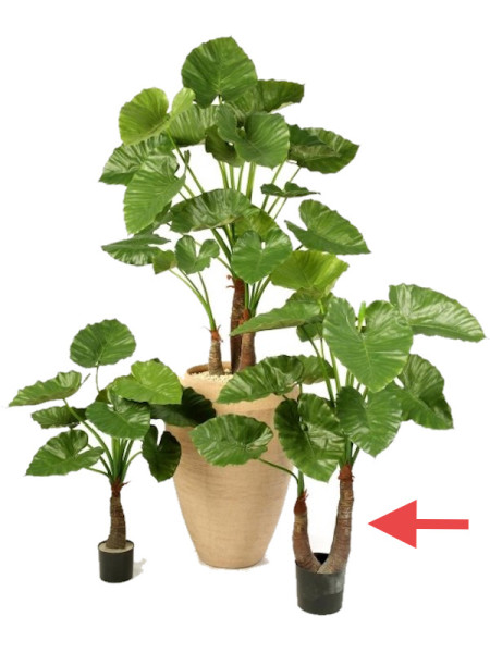 Искусственное растение Alocasia Calidora / Алоказия Калидора H100cm NKoop FW