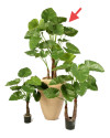 Искусственное растение Alocasia Calidora / Алоказия Калидора H120cm NKoop FW