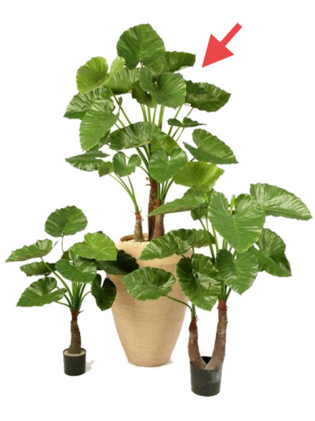 Искусственное растение Alocasia Calidora / Алоказия Калидора H120cm NKoop FW