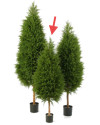 Искусственное растение Cypres Tree / Кипарис H120cm NKoop FW