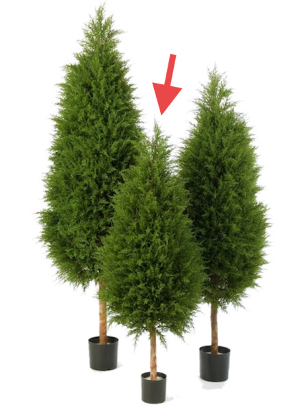 Искусственное растение Cypres Tree / Кипарис H120cm NKoop FW