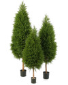 Искусственное растение Cypres Tree / Кипарис H180cm NKoop FW