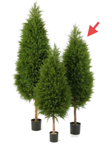 Искусственное растение Cypres Tree / Кипарис H150cm NKoop FW