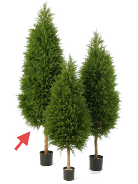 Искусственное растение Cypres Tree / Кипарис H180cm NKoop FW