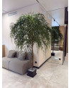 Искусственное дерево Ива H240cm NKoop FW