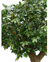 Искусственное растение Giant Common Oak Tree / Дубовое дерево H360cm NKoop FW