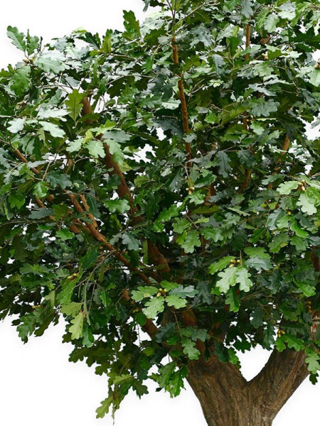 Искусственное растение Giant Common Oak Tree / Дубовое дерево H360cm NKoop FW