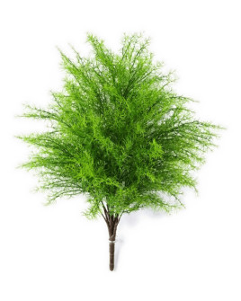 Искусственное растение Springeri Bush / Аспарагус куст H60cm