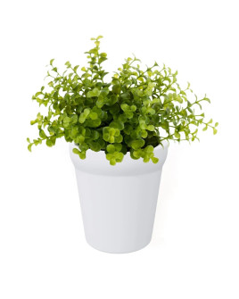 Искусственное растение Eucalyptus Green bush / Эвкалипт куст H30cm