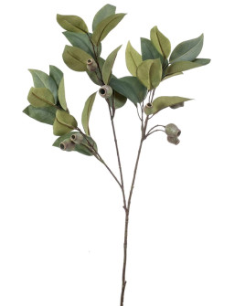 Искусственное растение Eucalyptus Green branch / Эвкалипт со стручками ветка H80cm